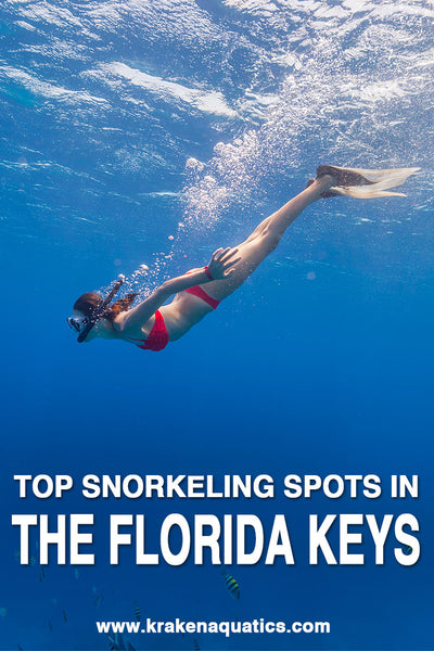 Top Snorkeling Spots In The Florida Keys