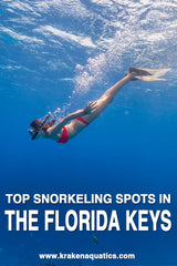 Top Snorkeling Spots In The Florida Keys